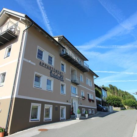 Apartments Luidold Schladming Exterior photo
